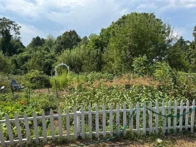 a view of a garden