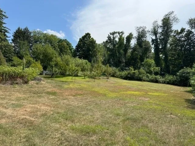 a view of a field with trees in the background