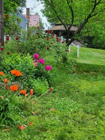 a view of a flower garden in front of house