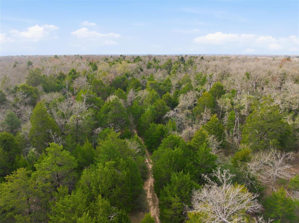 762 Lcr 762 Groesbeck, TX 76642 - Photo 14 of 17 a view of a city with lush green forest