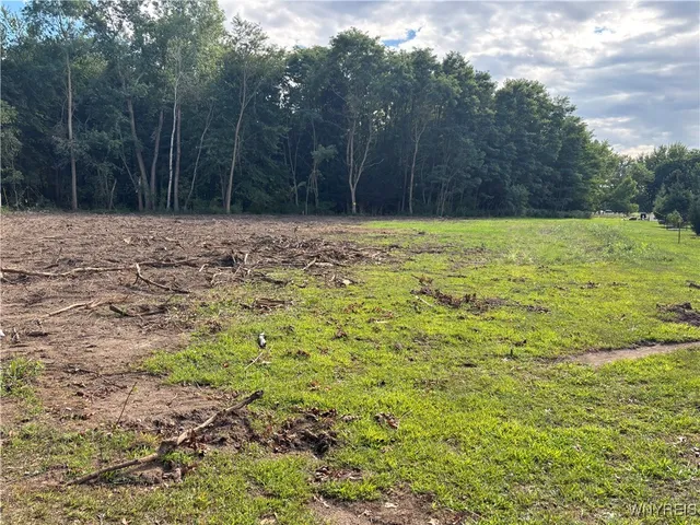 $744,000 | 11617 Parkwood Drive, Alden, NY 14004