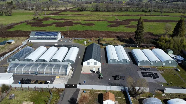 a view of yard with outdoor seating and green space