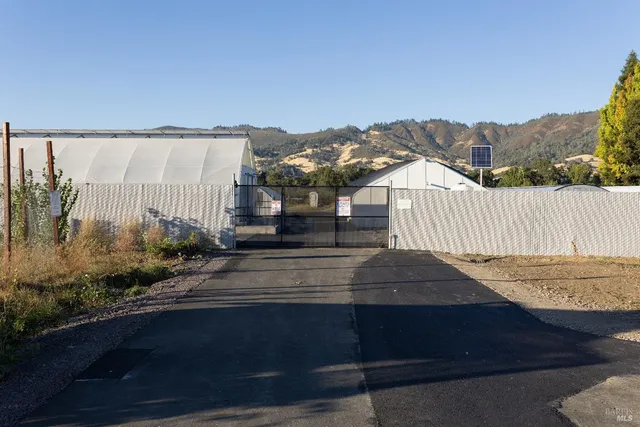 a view of a back yard