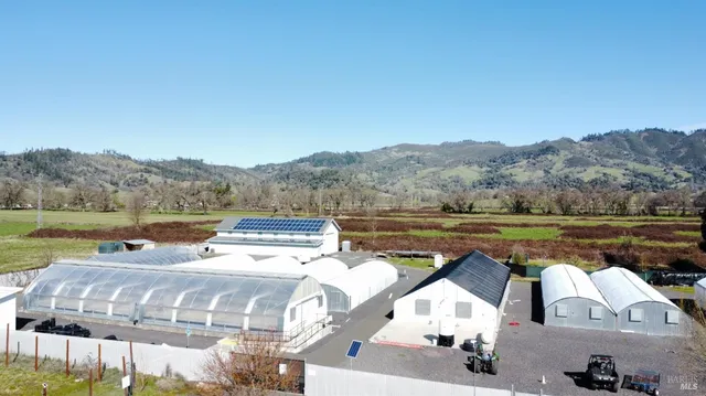 a view of a lake with a mountain in the background