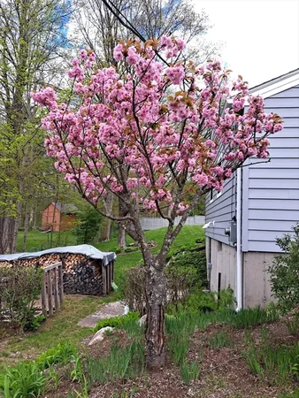 $319,900 | 60 Bay Road, Belchertown, MA 01007