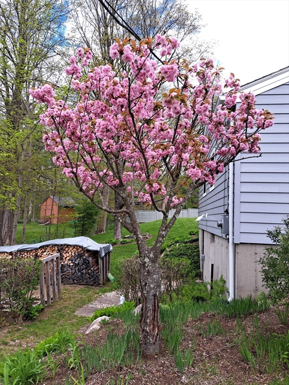 60 Bay Road Belchertown, MA 01007 - Photo 26 of 38