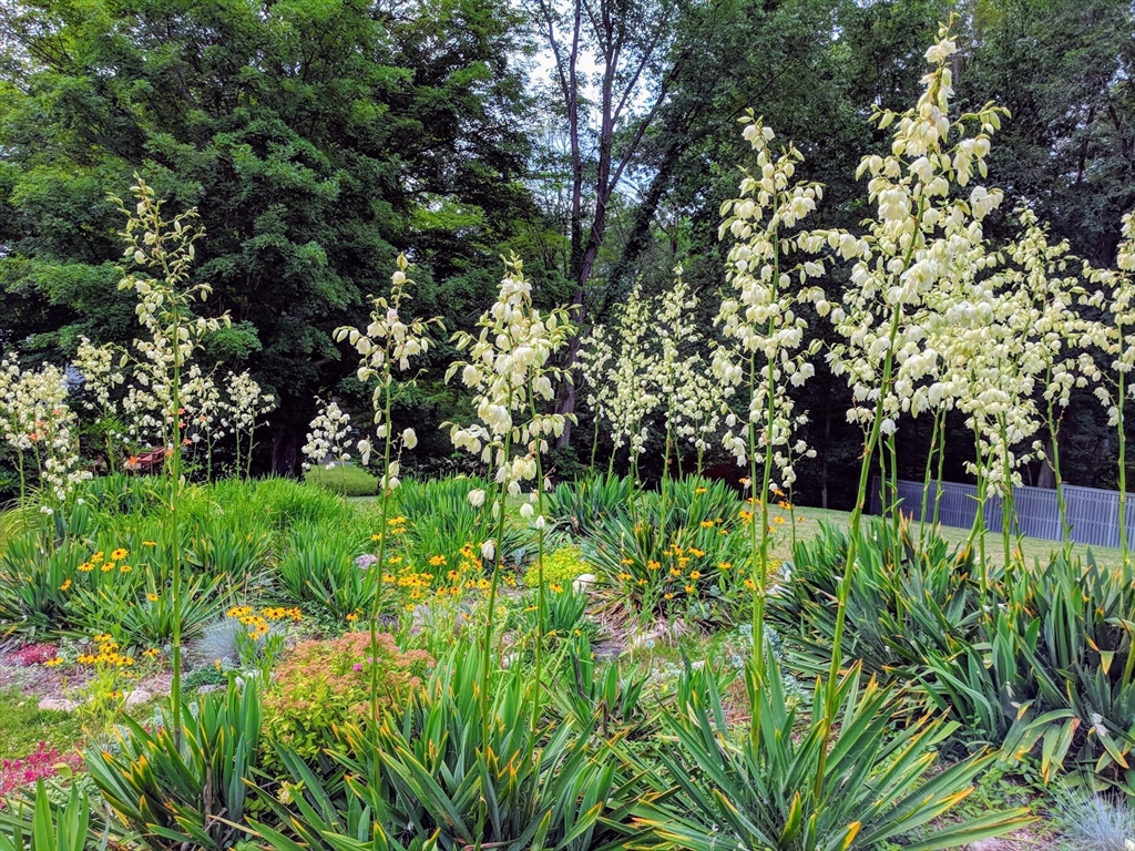 60 Bay Road Belchertown, MA 01007 - Photo 30 of 38