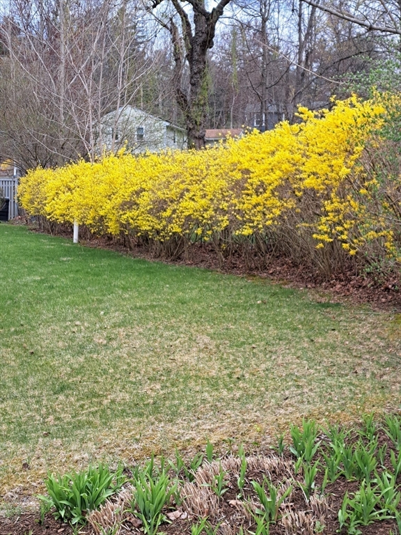 60 Bay Road Belchertown, MA 01007 - Photo 32 of 38