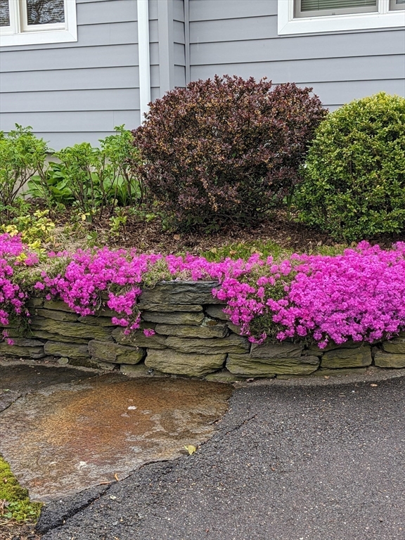 60 Bay Road Belchertown, MA 01007 - Photo 4 of 38