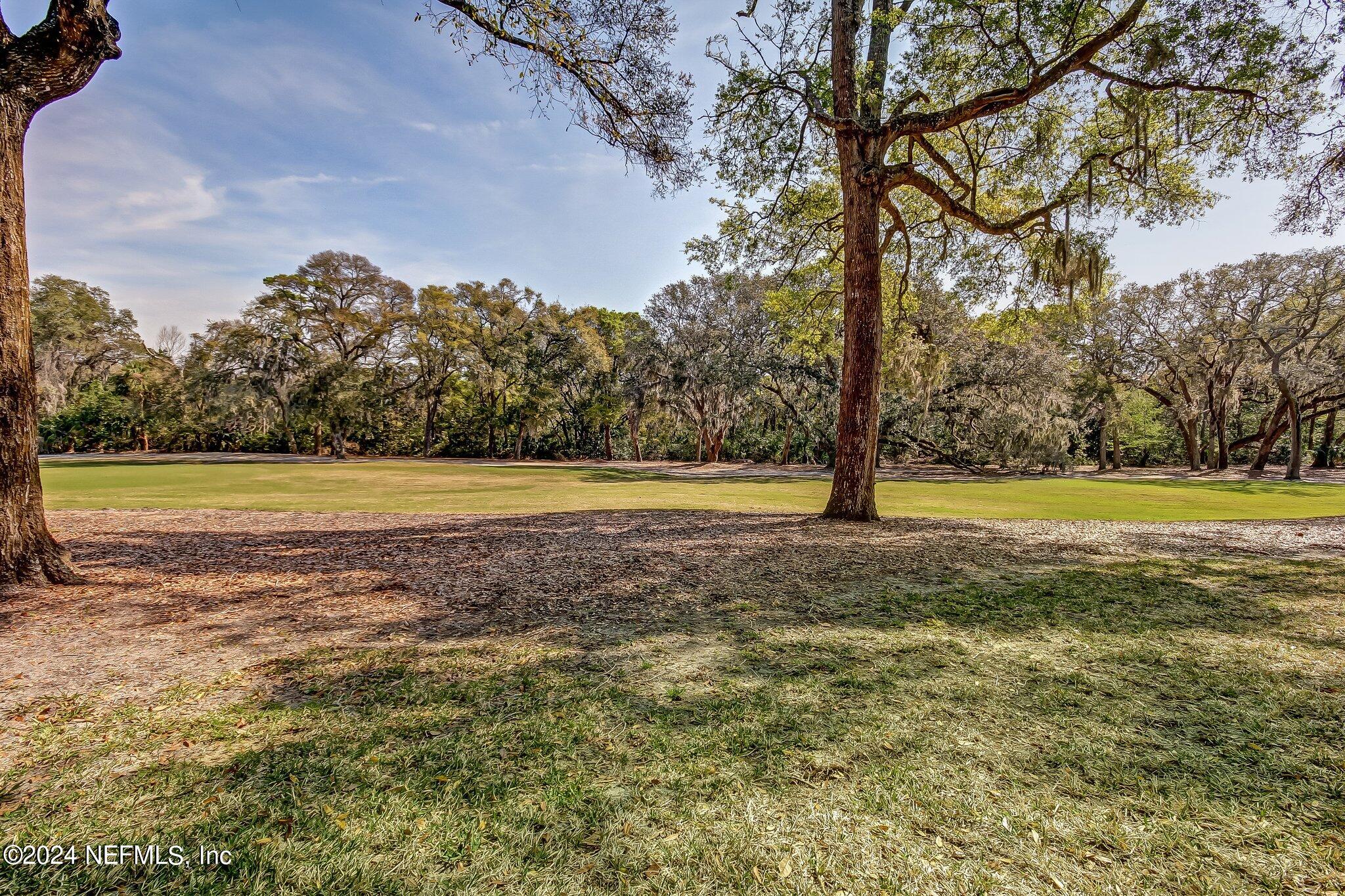 3327 Sea Marsh Road Fernandina Beach, FL 32034 - Photo 27 of 39 a view of yard with large trees