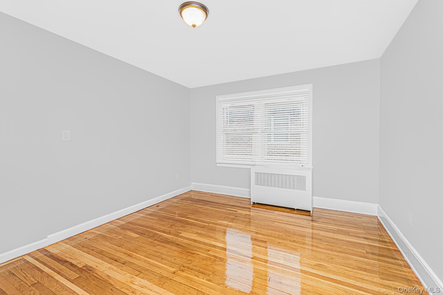 1616 Library Avenue Bronx, NY 10465 - Photo 6 of 20 Empty room featuring radiator and light wood-style floors