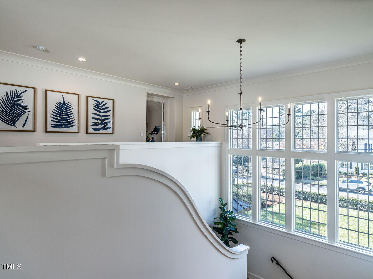 1324 Brooks Avenue Raleigh, NC 27607 - Photo 33 of 65 a living room with furniture and a potted plant