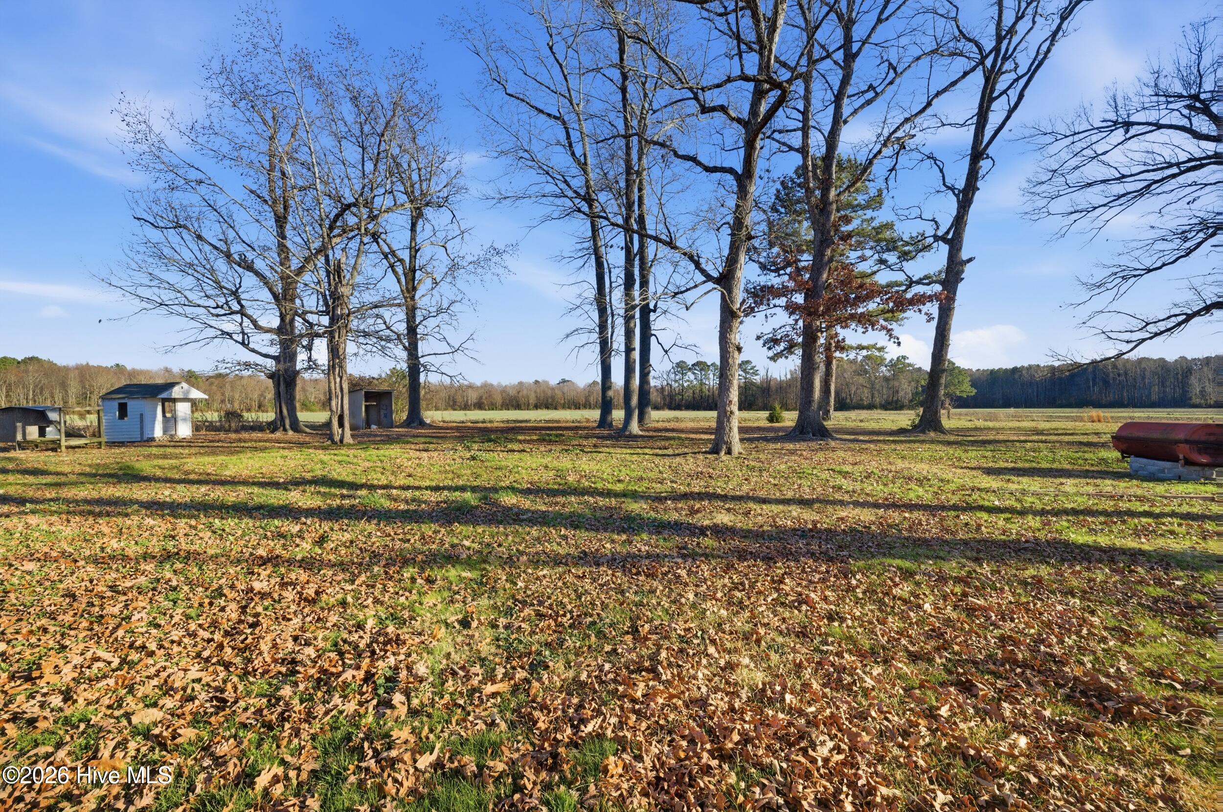 37 Zion Road Gatesville, NC 27938 - Photo 44 of 52 66_dsc02878