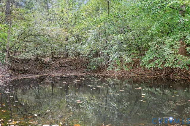 a view of a forest with trees