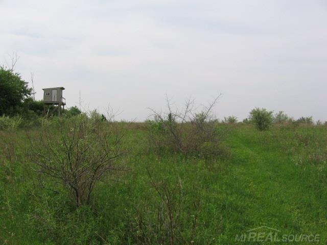 5687 Walker Road Applegate, MI 48401 - Photo 20 of 28 31246366-20.JPG