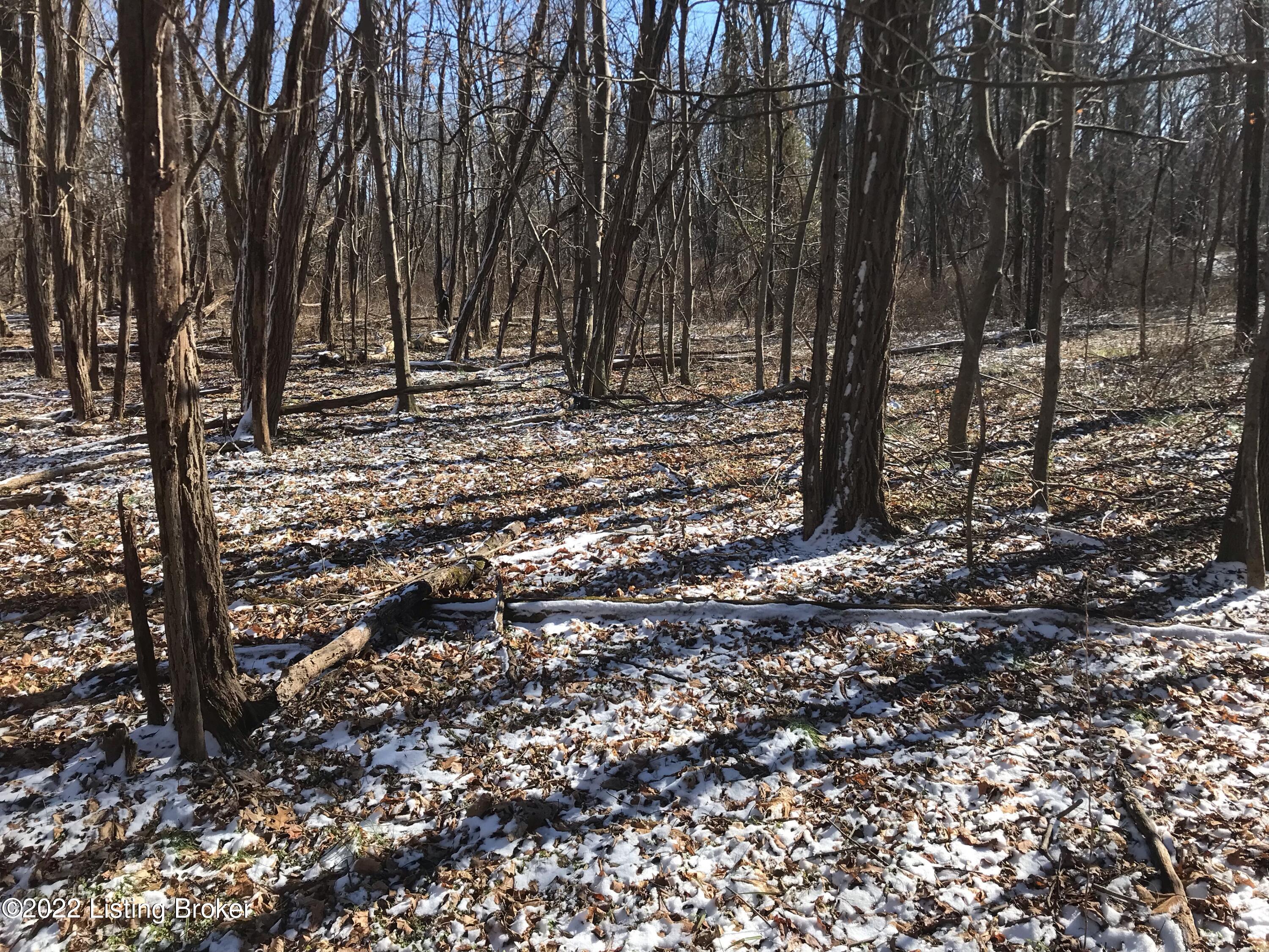 Lot 17 Brashears Point Road Taylorsville, KY 40071 - Photo 28 of 30 132FA6DF-75C5-4500-B5F5-6C9C4E5E0F7C