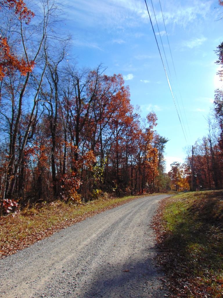 0 Raccoon Ridge Road Spring City, TN 37381 - Photo 1 of 70