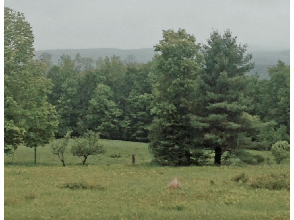 0 Kirby Ridge Road East Burke, VT 05832 - Photo 1 of 7 Gallery Image 1