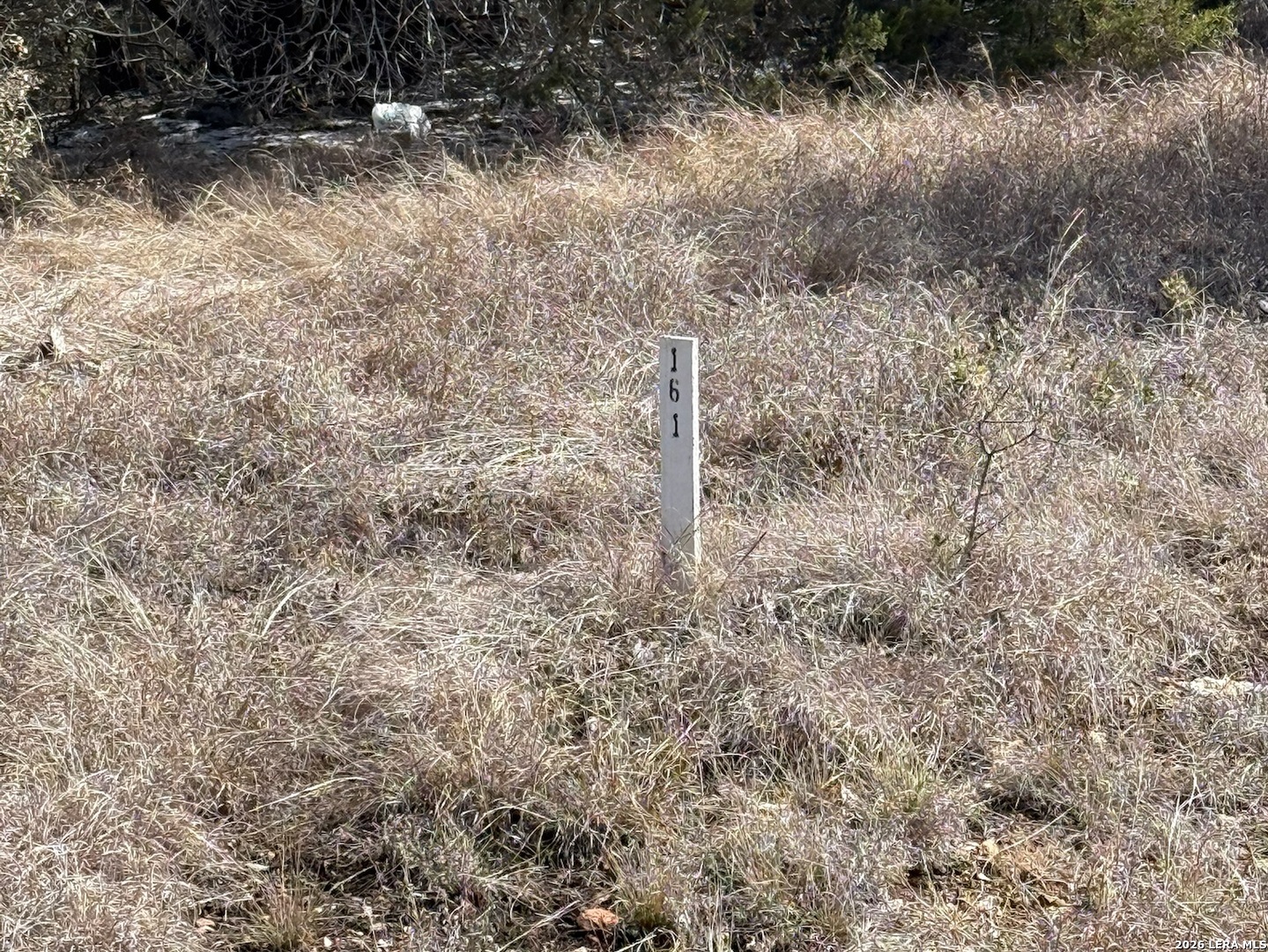 311 Serenity Pass Spring Branch, TX 78070 - Photo 5 of 10