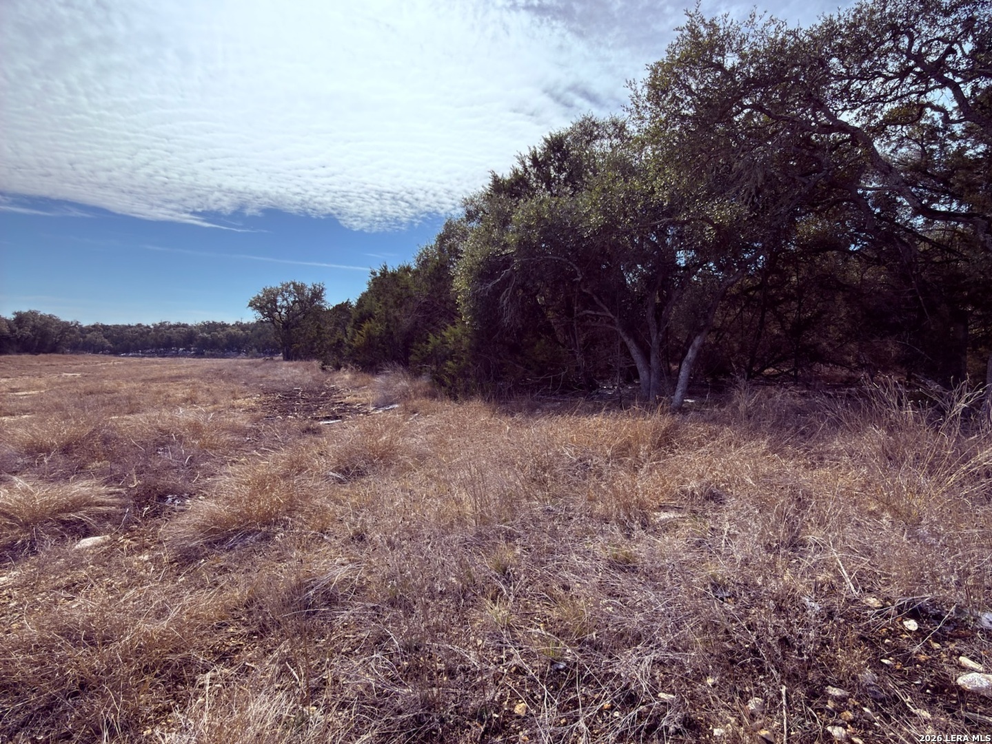311 Serenity Pass Spring Branch, TX 78070 - Photo 7 of 10