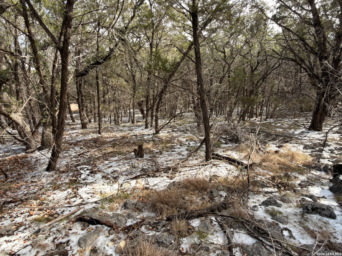 311 Serenity Pass Spring Branch, TX 78070 - Photo 8 of 10