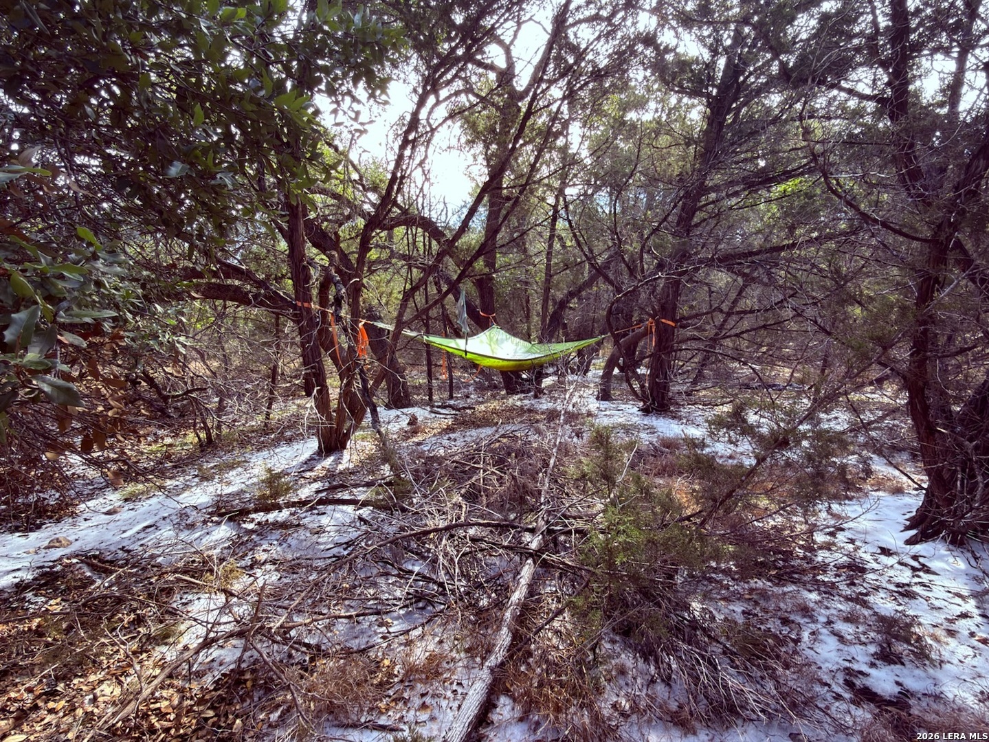 311 Serenity Pass Spring Branch, TX 78070 - Photo 9 of 10