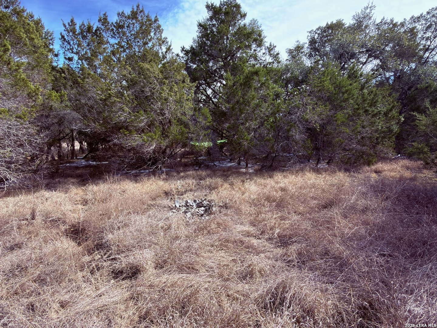 311 Serenity Pass Spring Branch, TX 78070 - Photo 10 of 10