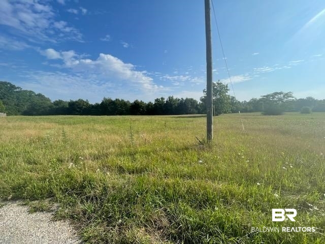 0 Catherine Road Chunchula, AL 36521 - Photo 1 of 3