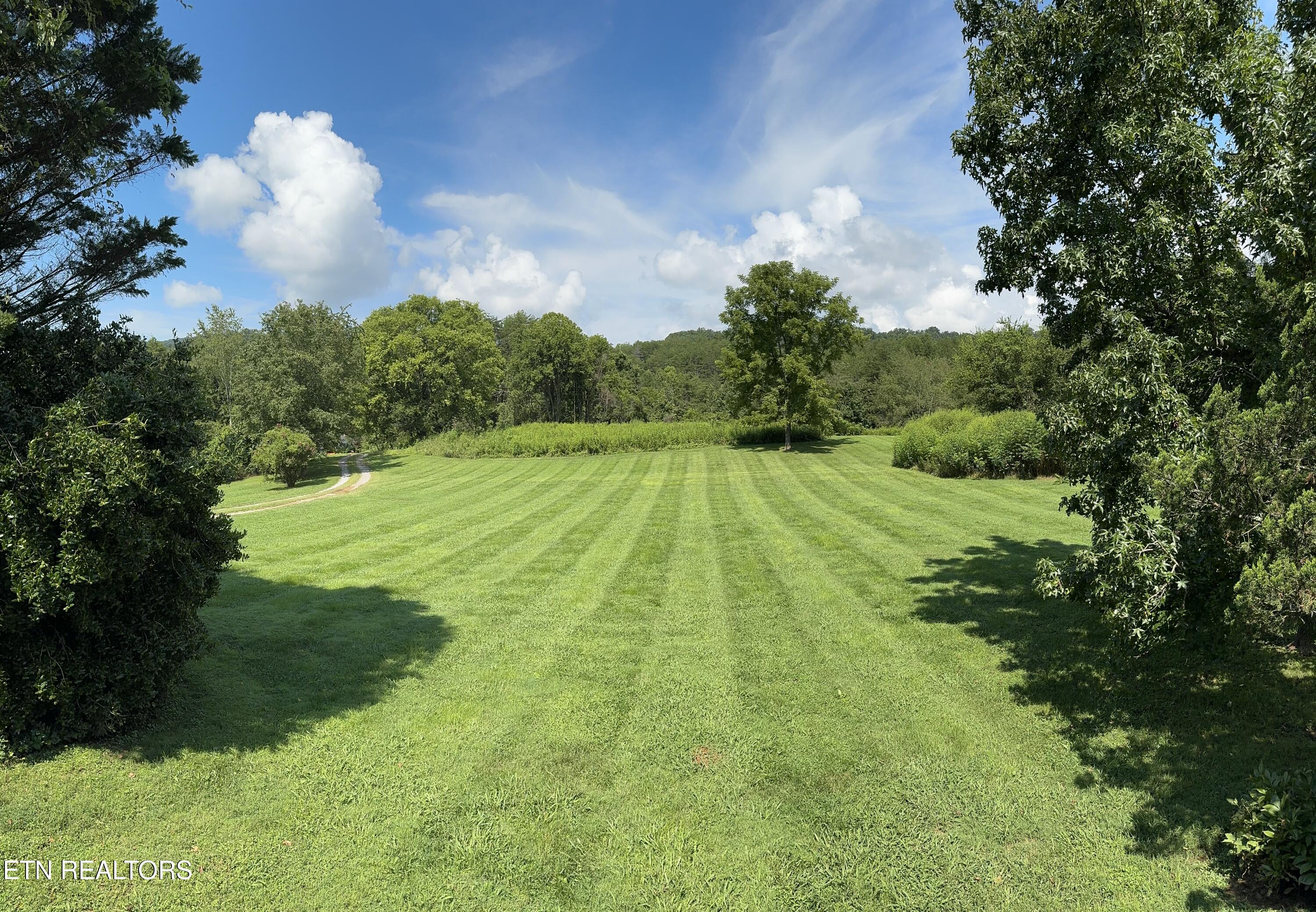 1977 Rutledge Pike Blaine, TN 37709 - Photo 8 of 12 IMG_2389