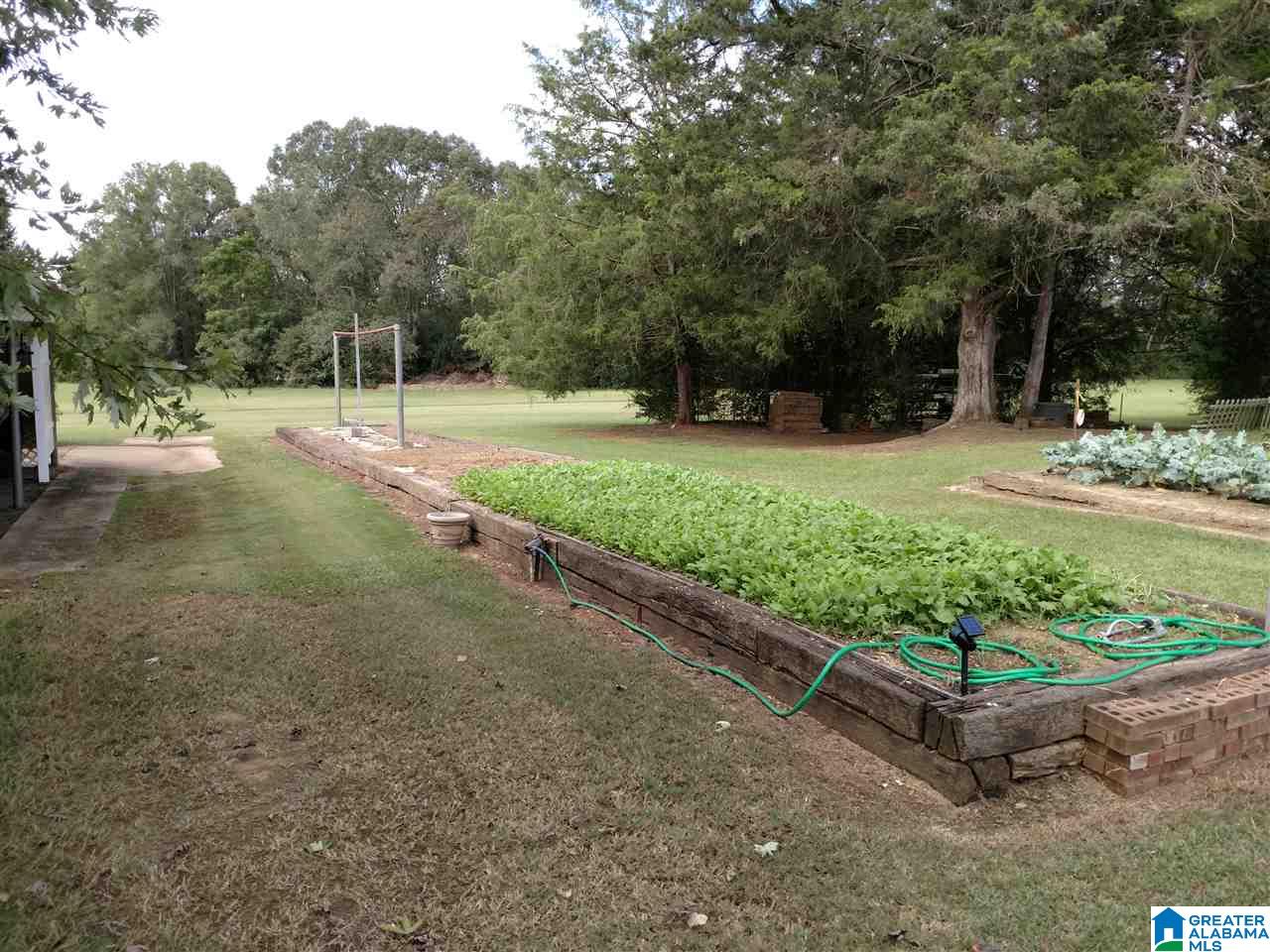 1100 Arco Dairy Road Alpine, AL 35014 - Photo 7 of 30