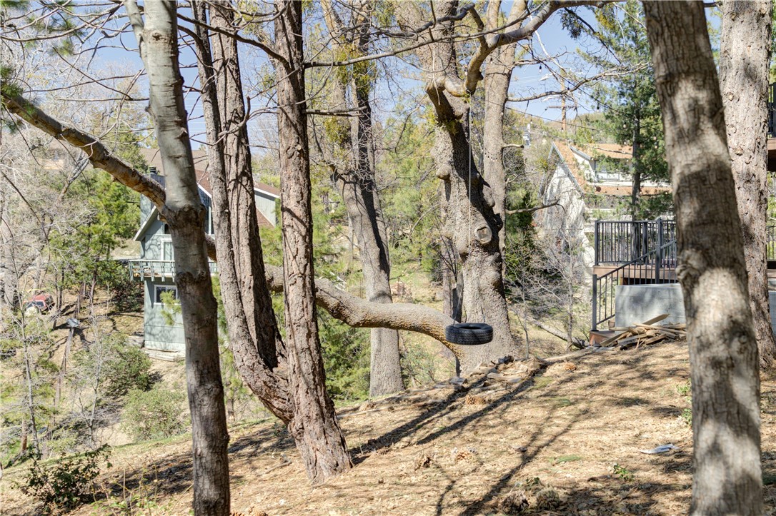 1032 Grass Valley Road Lake Arrowhead, CA 92352 - Photo 43 of 48 a picture of a tree