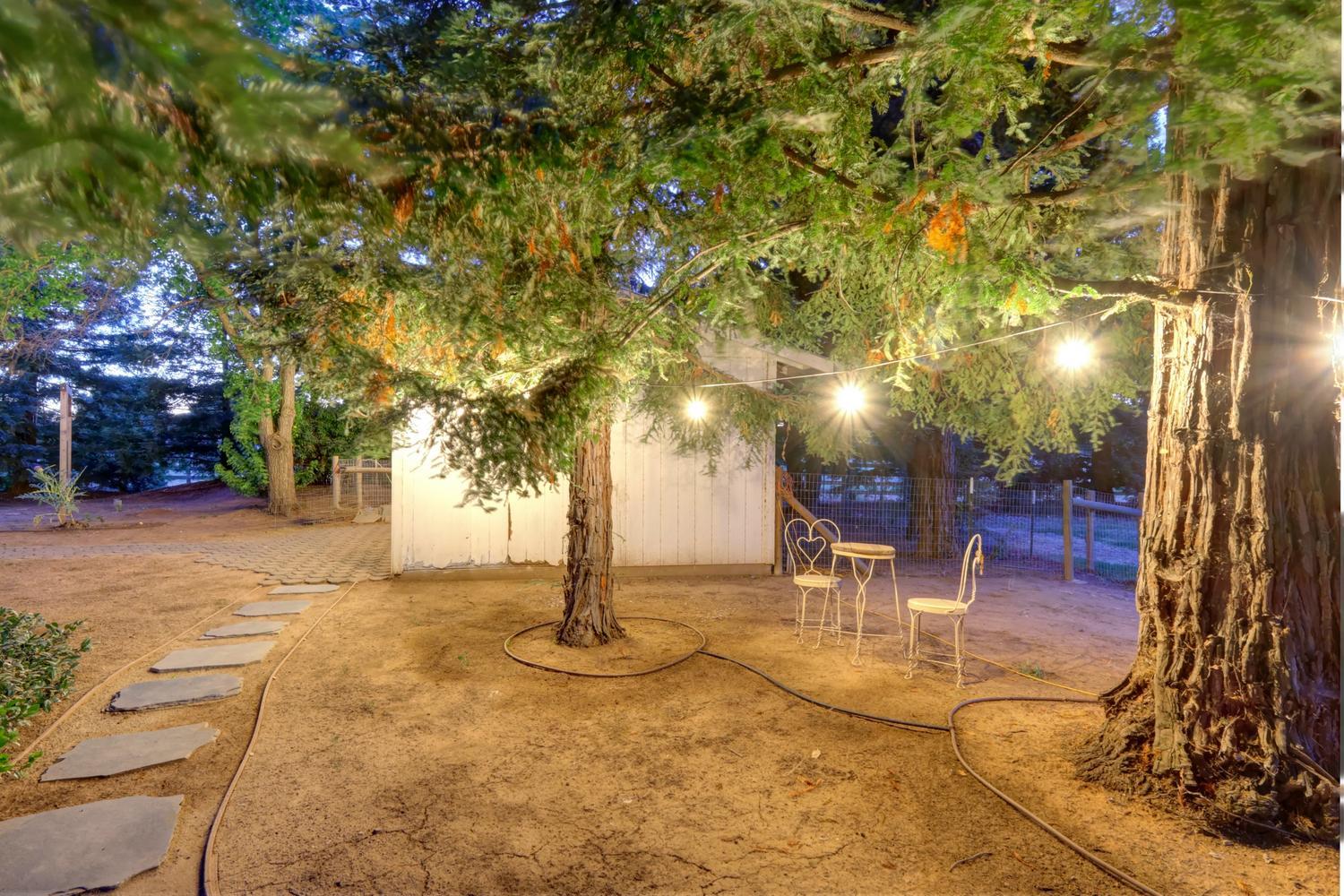 8868 Tavernor Road Wilton, CA 95693 - Photo 11 of 72