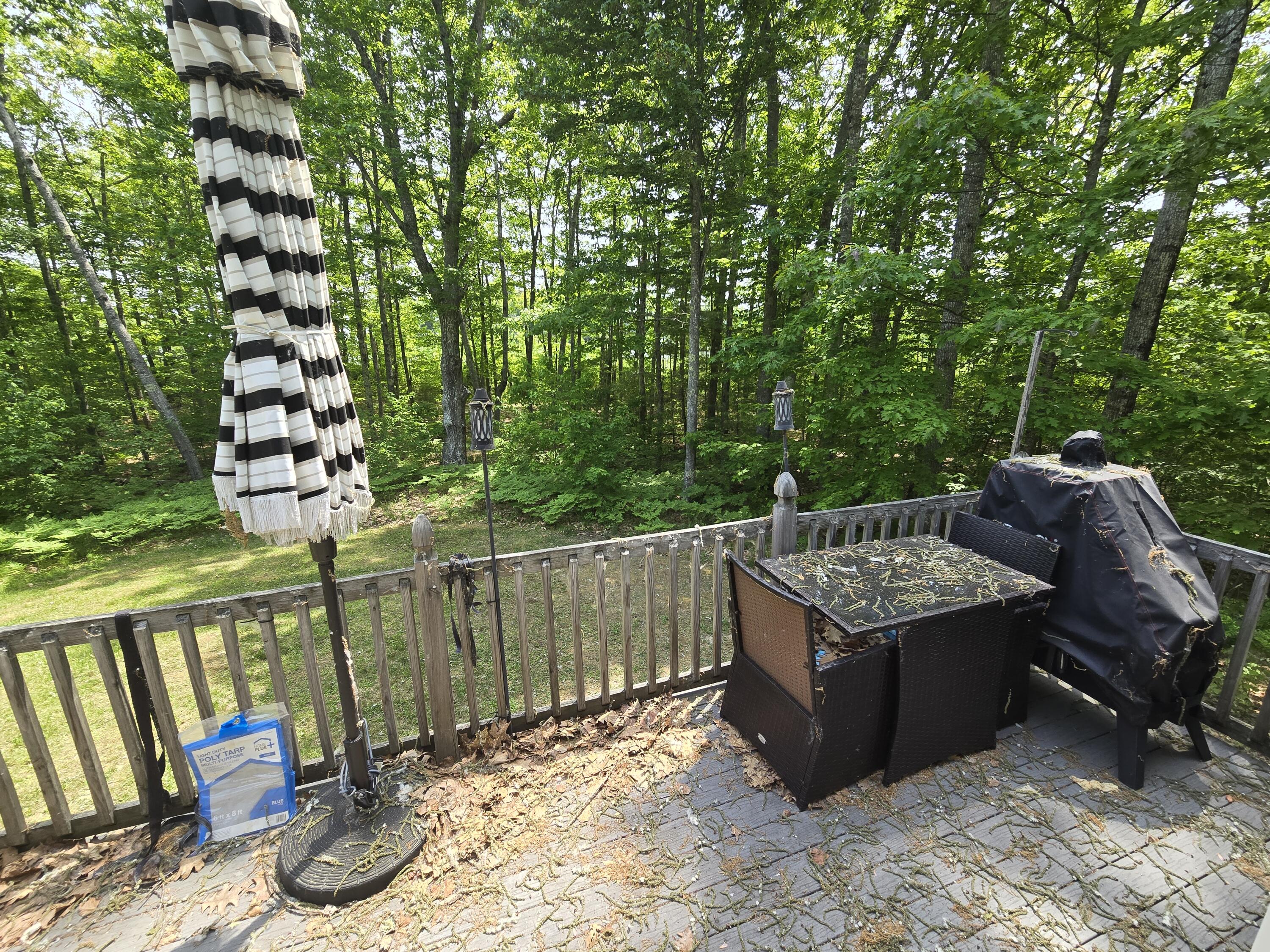 5 South Shore Road Glenburn, ME 04401 - Photo 19 of 35 20260605_132313
