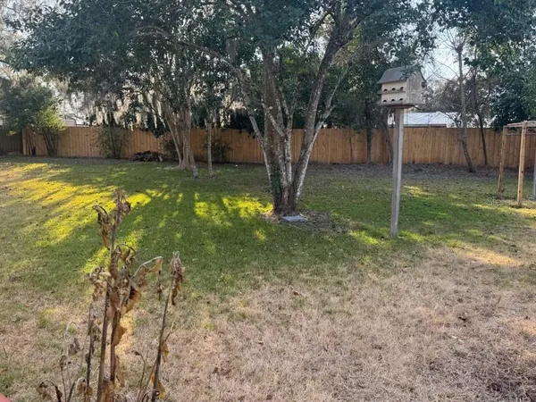 a view of a backyard with large trees