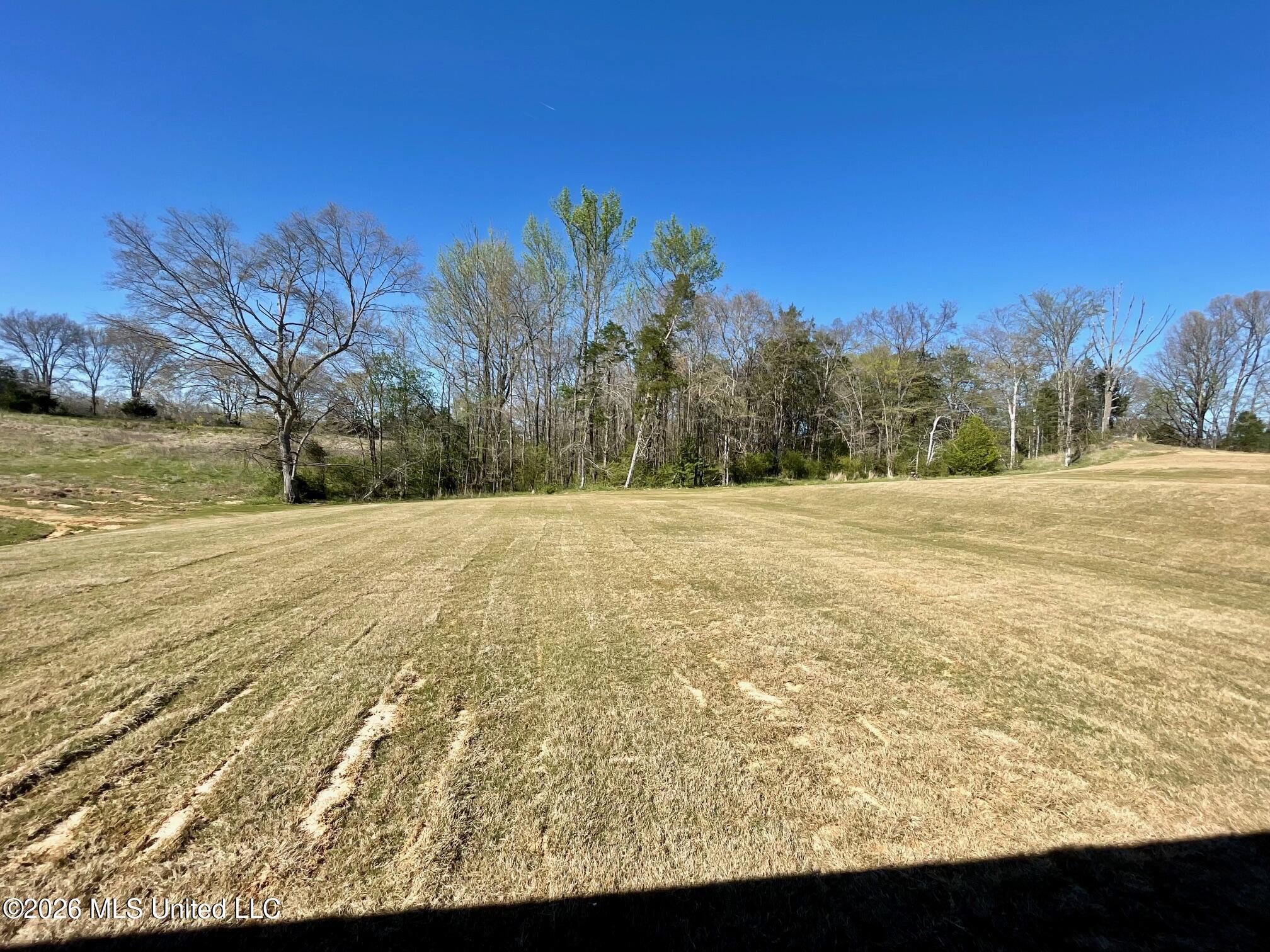 224 Farley Road Byhalia, MS 38611 - Photo 11 of 12 image1