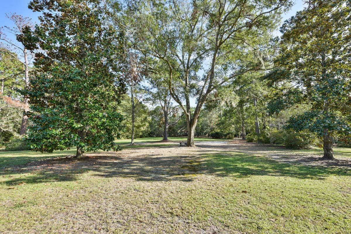6960 Bears Bluff Road Wadmalaw Island, SC 29487 - Photo 11 of 74 6960BearsBluff-Pasture-5144