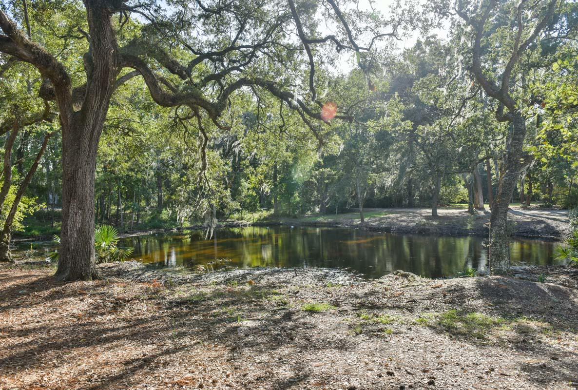 6960 Bears Bluff Road Wadmalaw Island, SC 29487 - Photo 7 of 74 6960BearsBluff-Pond-5076