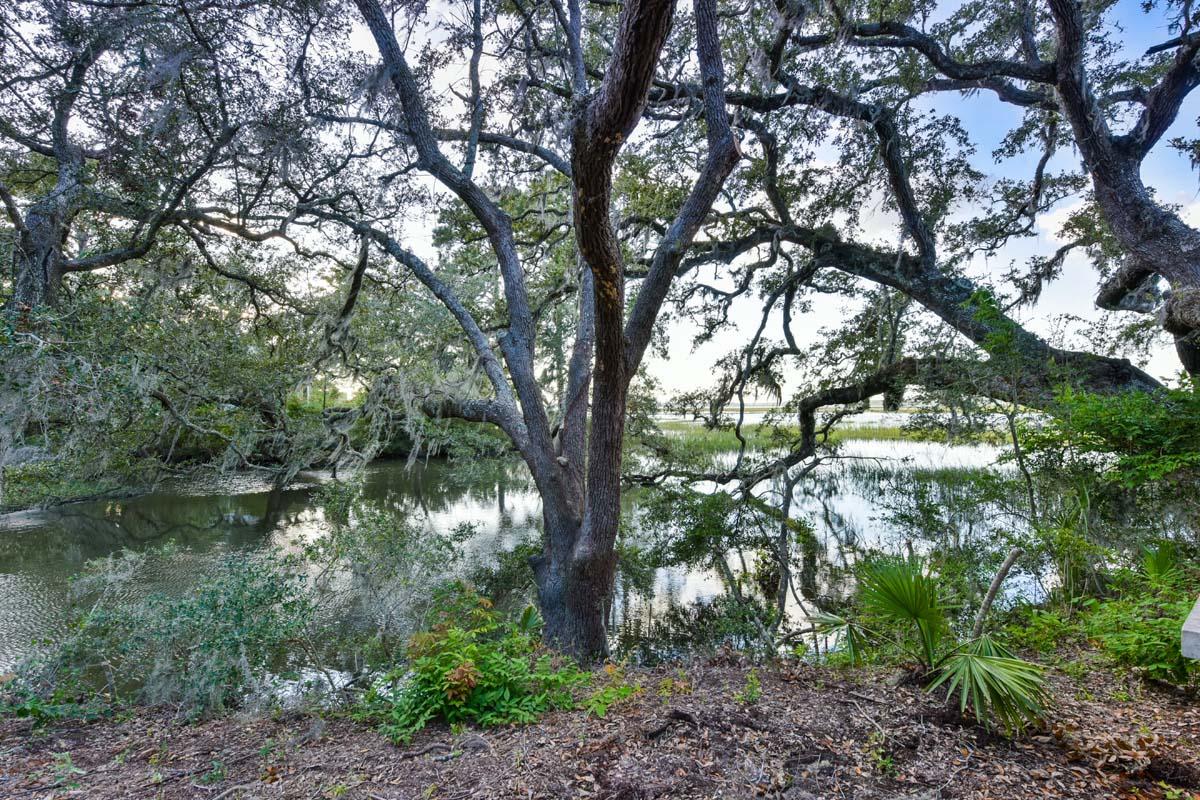 6960 Bears Bluff Road Wadmalaw Island, SC 29487 - Photo 68 of 74 6960BearsBluff-Property-5254