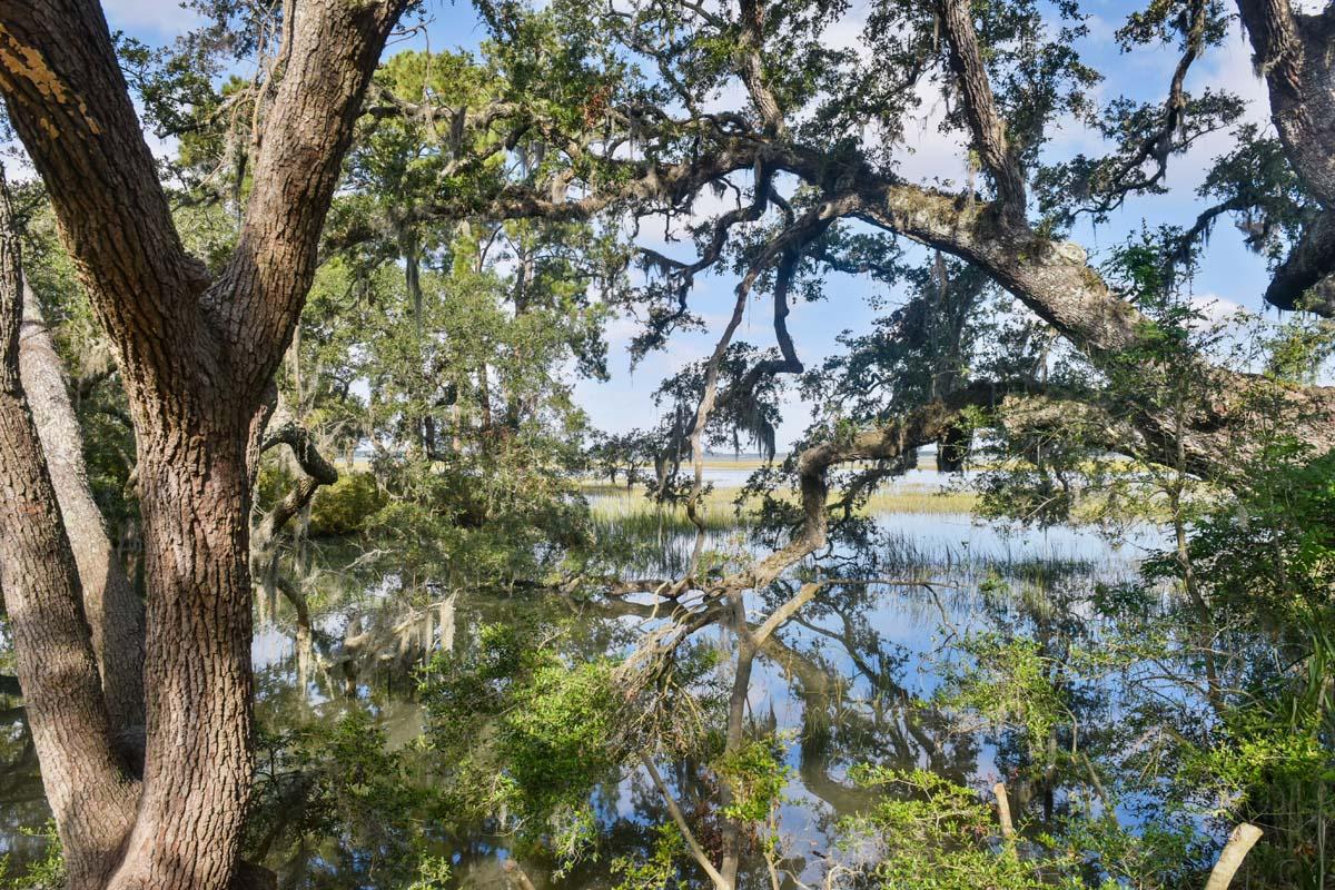 6960 Bears Bluff Road Wadmalaw Island, SC 29487 - Photo 70 of 74 6960BearsBluff-Property-5438