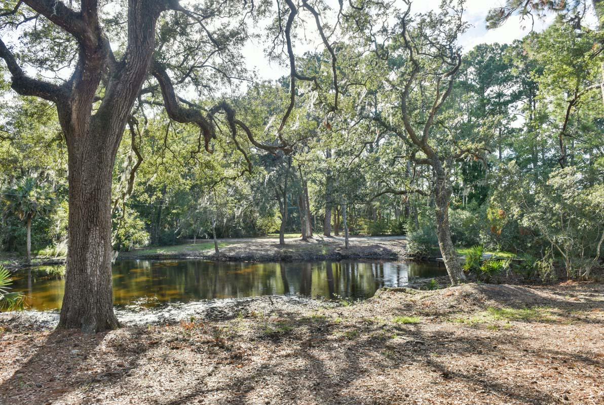 6960 Bears Bluff Road Wadmalaw Island, SC 29487 - Photo 8 of 74 6960BearsBluff-Pond-5079