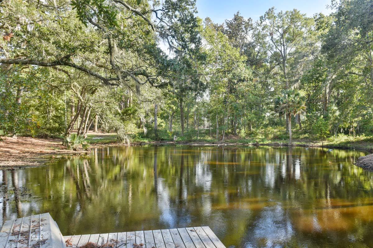 6960 Bears Bluff Road Wadmalaw Island, SC 29487 - Photo 9 of 74 6960BearsBluff-Pond-5081