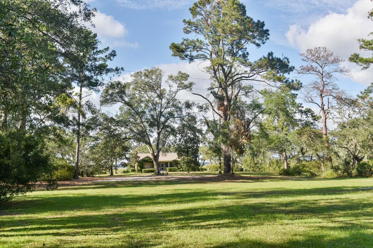 6960 Bears Bluff Road Wadmalaw Island, SC 29487 - Photo 10 of 74 6960BearsBluff-Pasture-5073