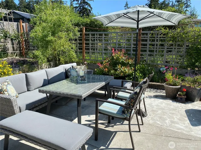 a view of a backyard with potted plants and large trees