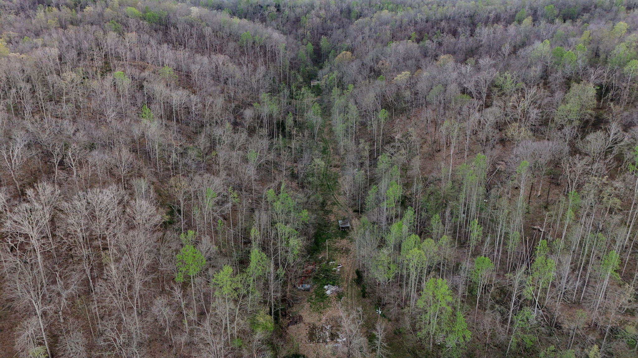 1755 Williams Road Centerville, TN 37033 - Photo 15 of 24 a view of a lush green field