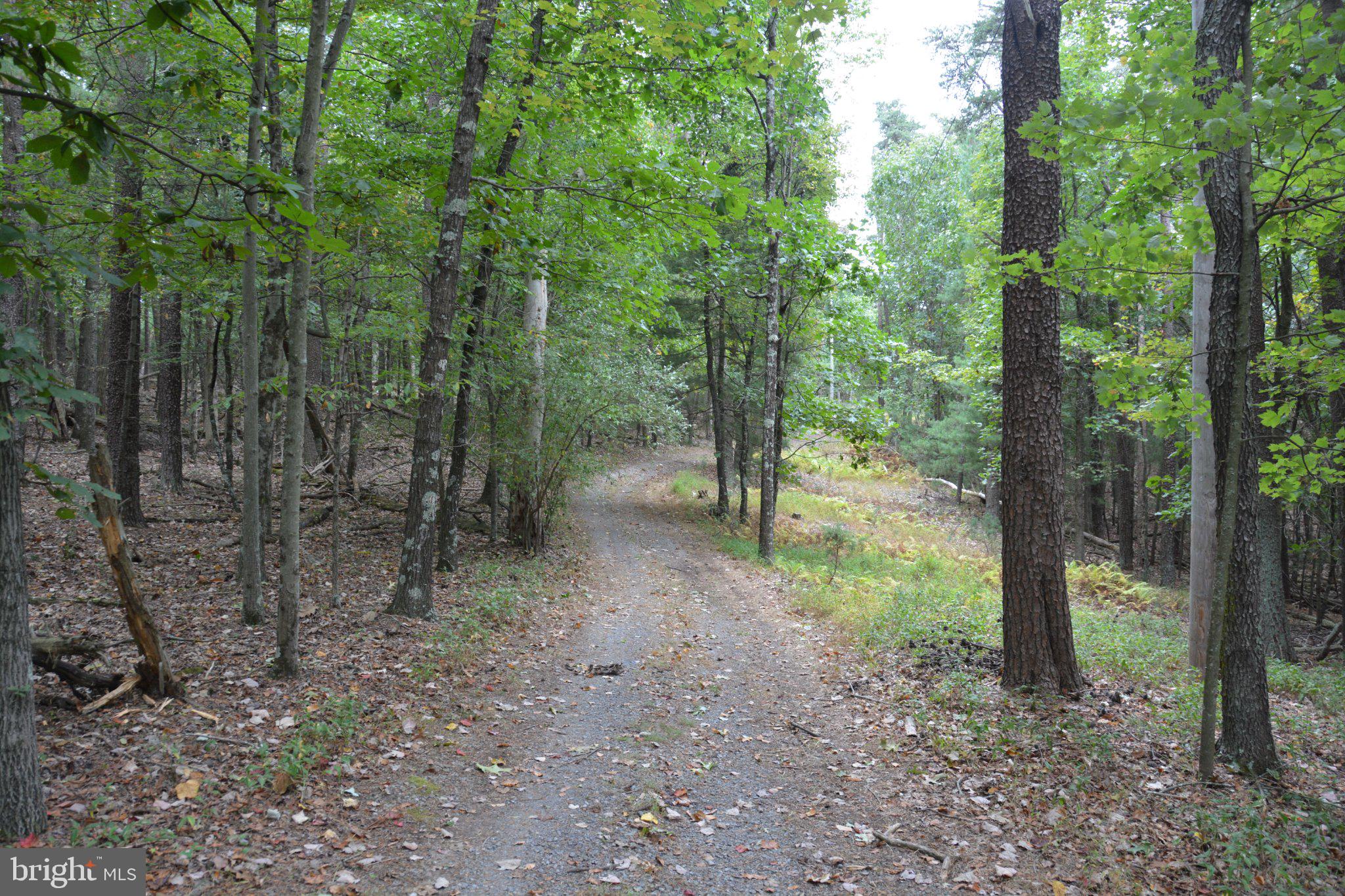 3016 Siler Road Winchester, VA 22603 - Photo 66 of 83 Driveway path