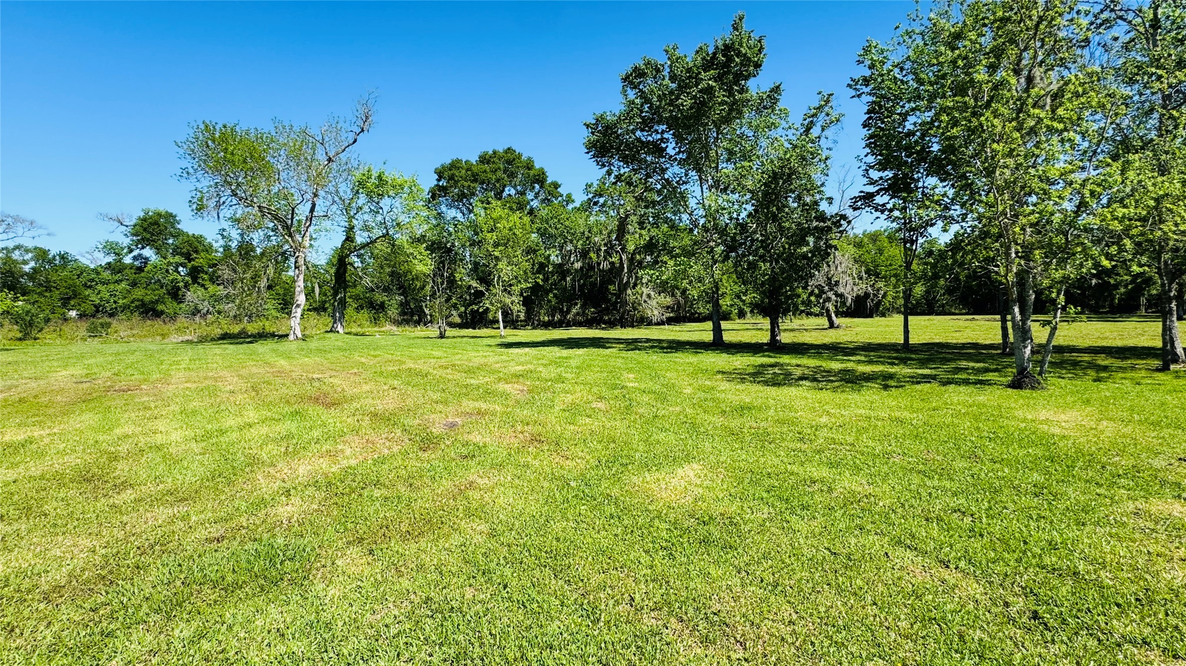 1434 County Road 878A Sweeny, TX 77480 - Photo 7 of 36 a view of park with trees