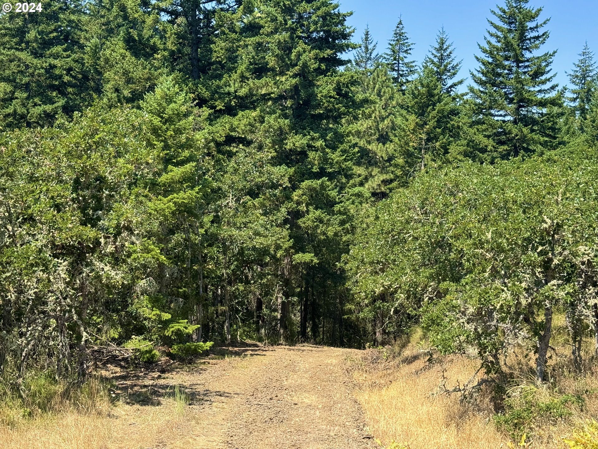 6538 Halliburton Road The Dalles, OR 97058 - Photo 13 of 30