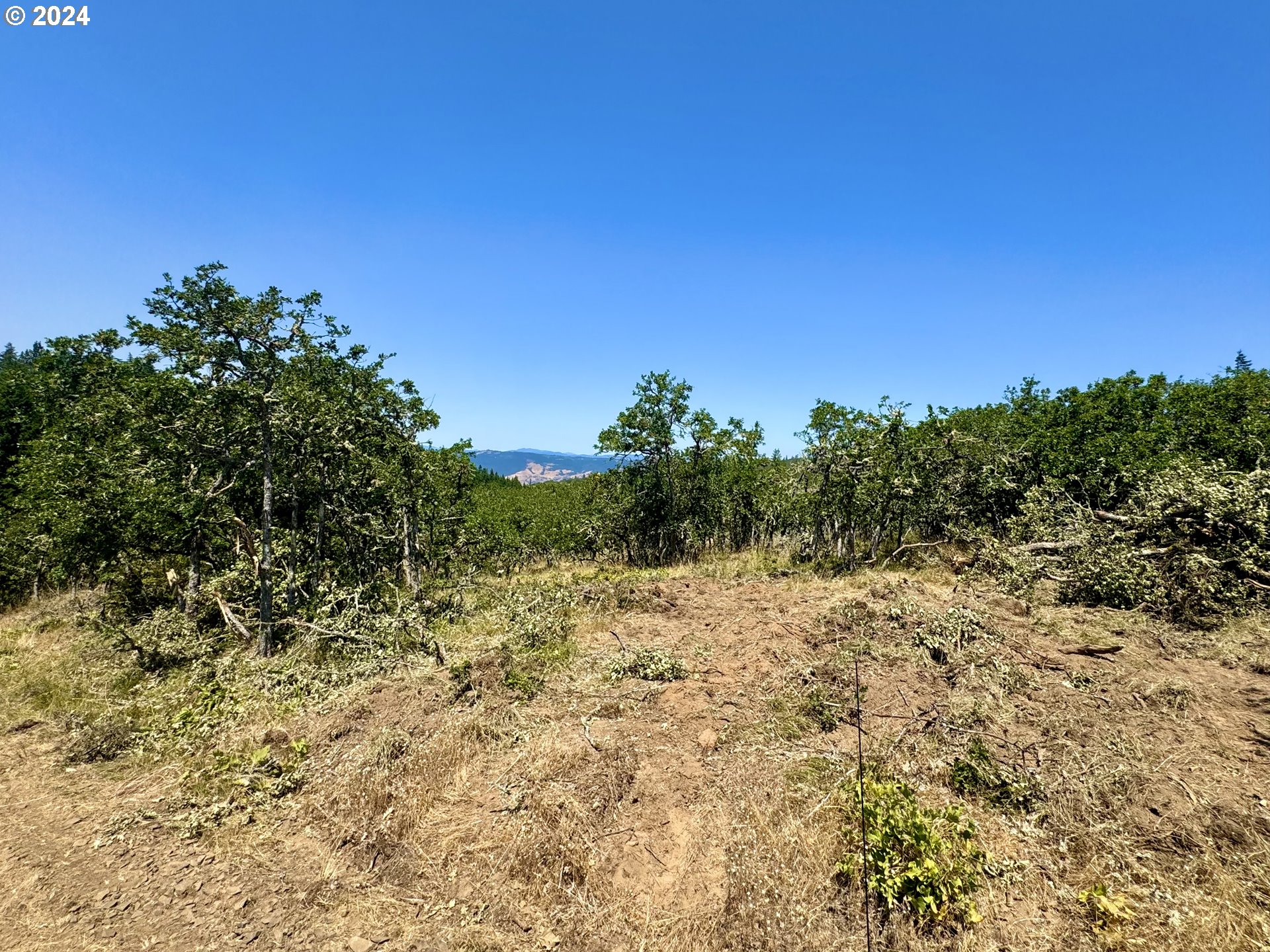 6538 Halliburton Road The Dalles, OR 97058 - Photo 15 of 30