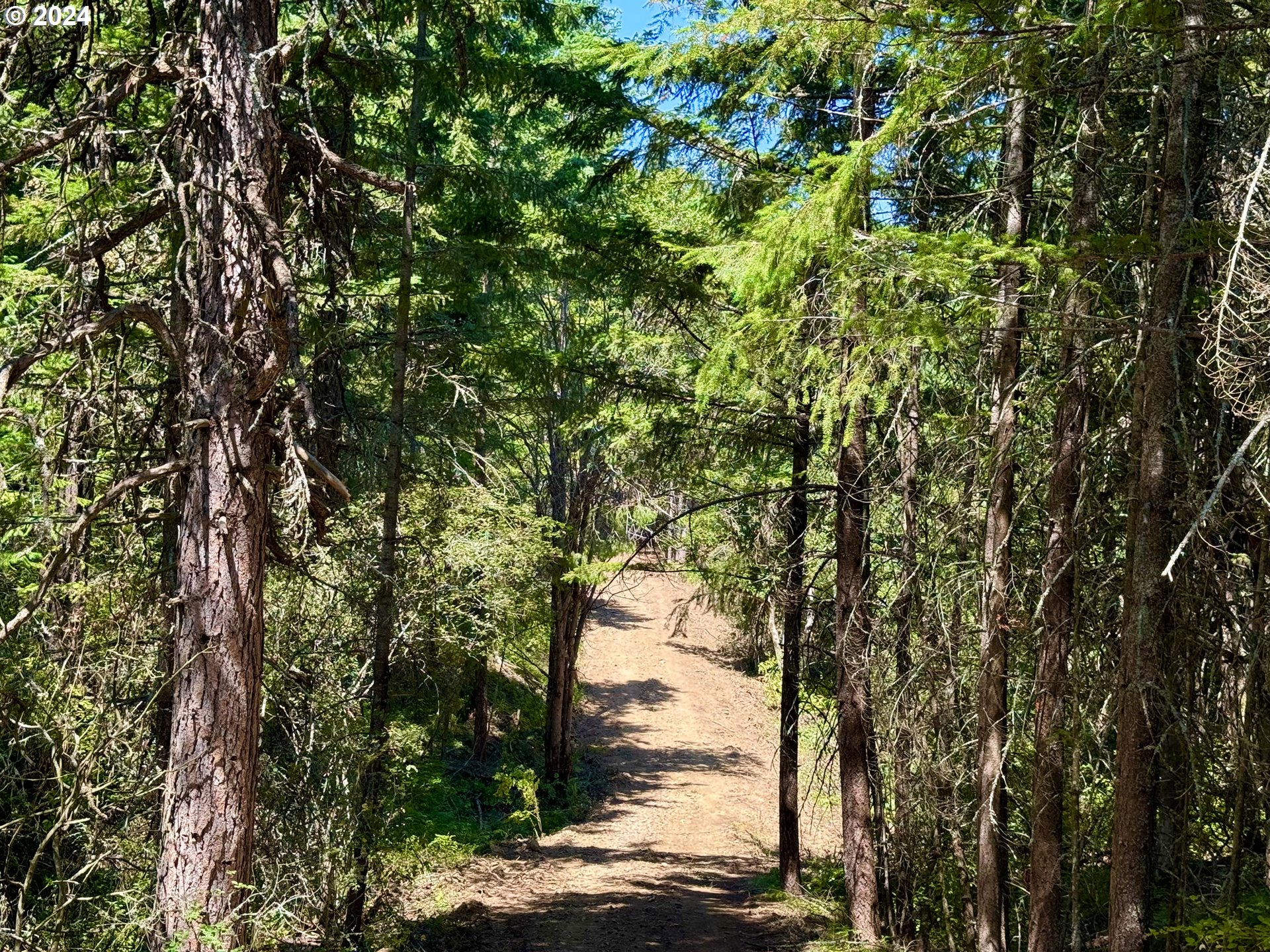 6538 Halliburton Road The Dalles, OR 97058 - Photo 6 of 30