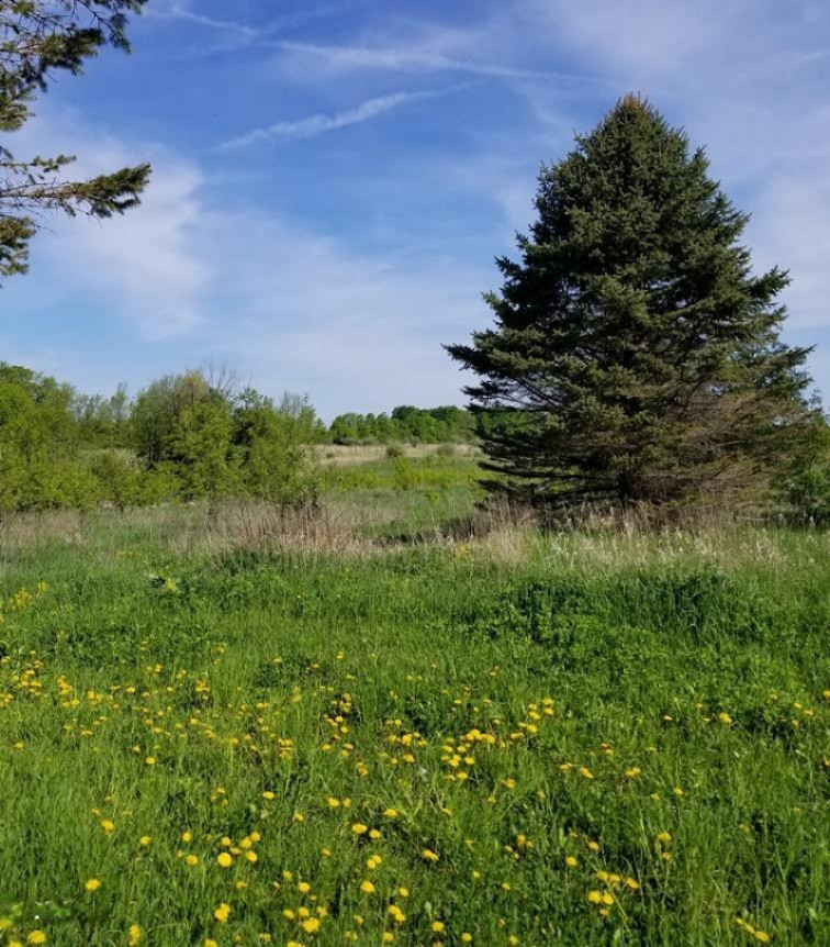 20664 2 Mile Road Reed City, MI 49677 - Photo 4 of 16 #3